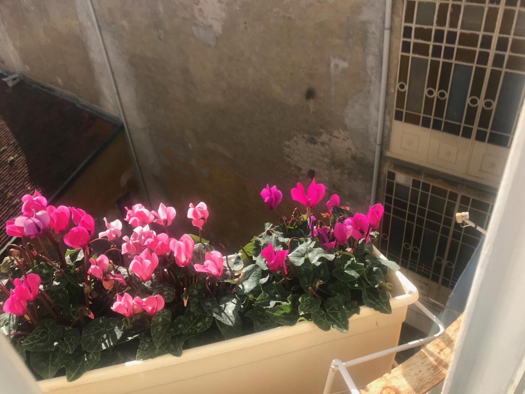 A Due Passi Dal Duomo Hotel Biella Exterior photo